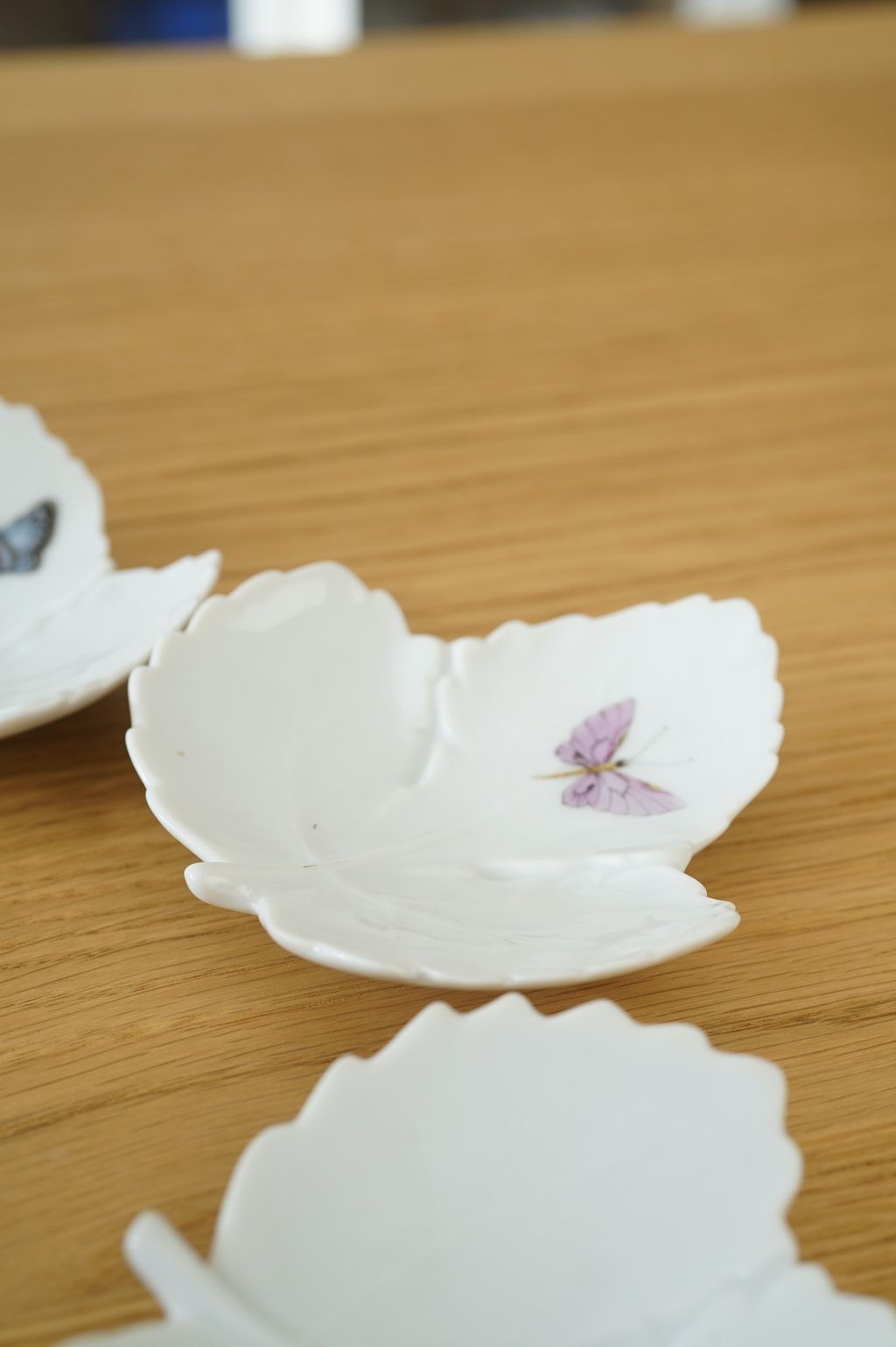 627196450_2337680313400335_5109434284012066318_n