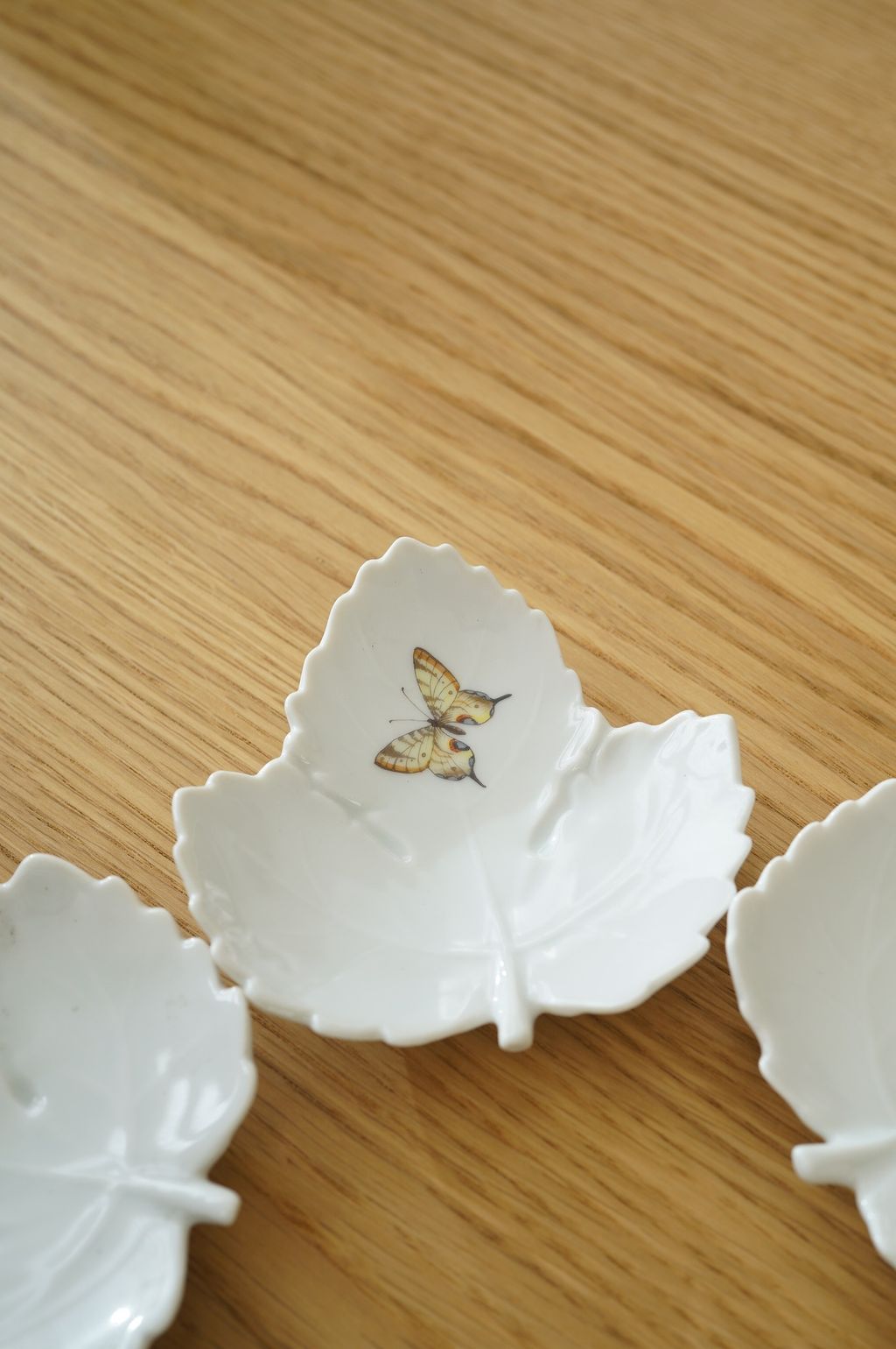 625270018_2337680340066999_8983434905117317800_n