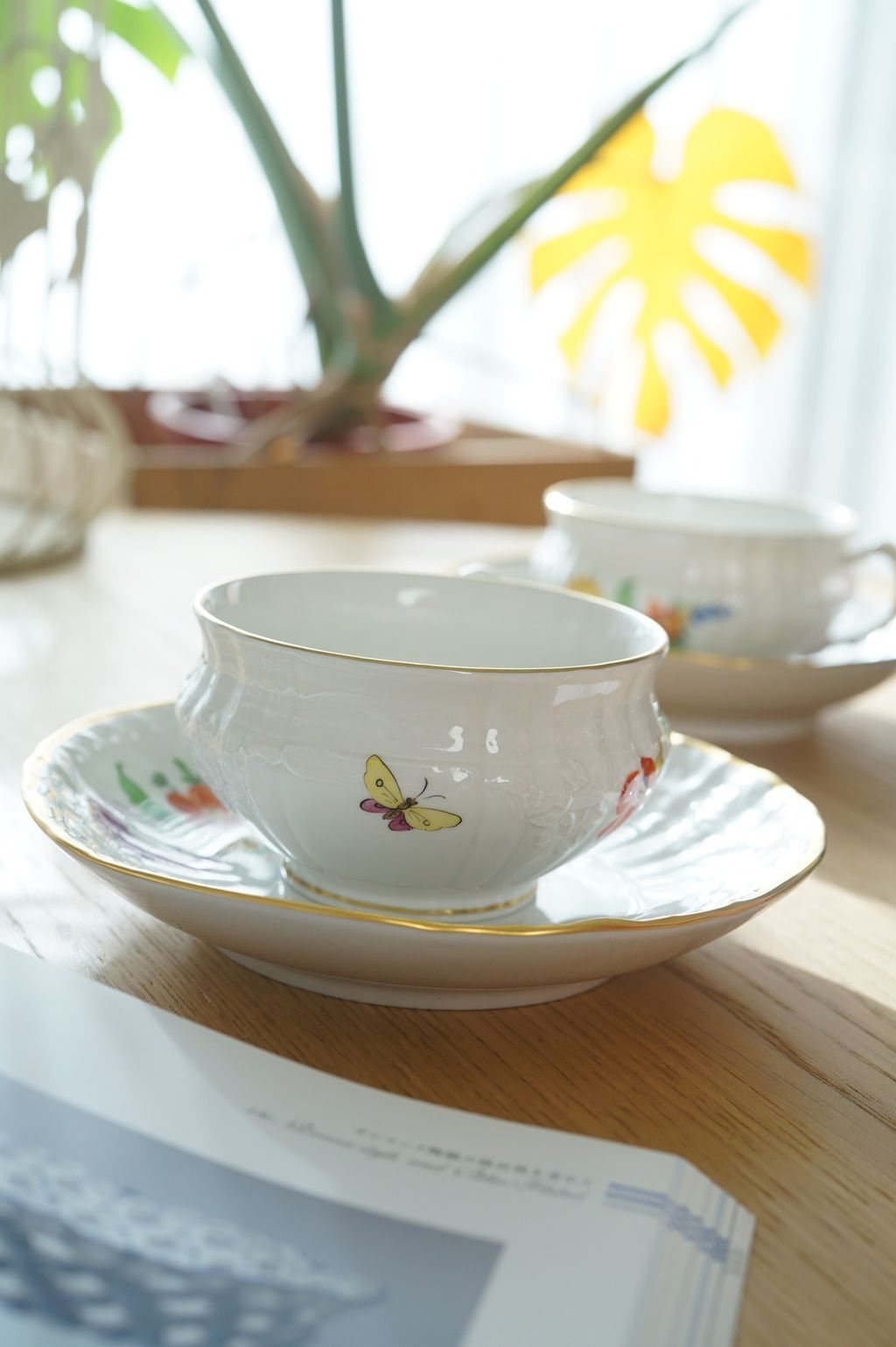 625111898_2336026033565763_1841163351541401377_n