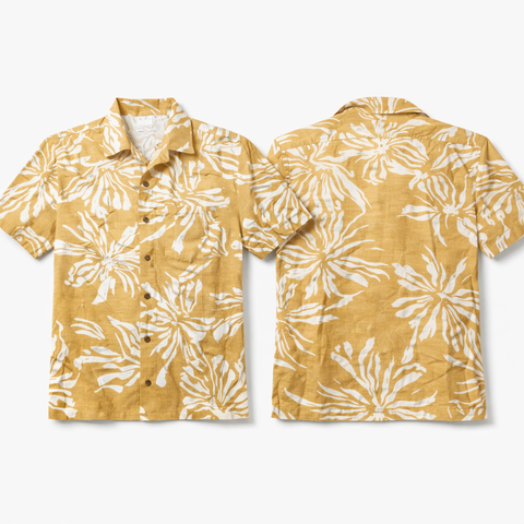 image_F490A7BF-DD73-437A-A264-69FF52B95356_1775470624