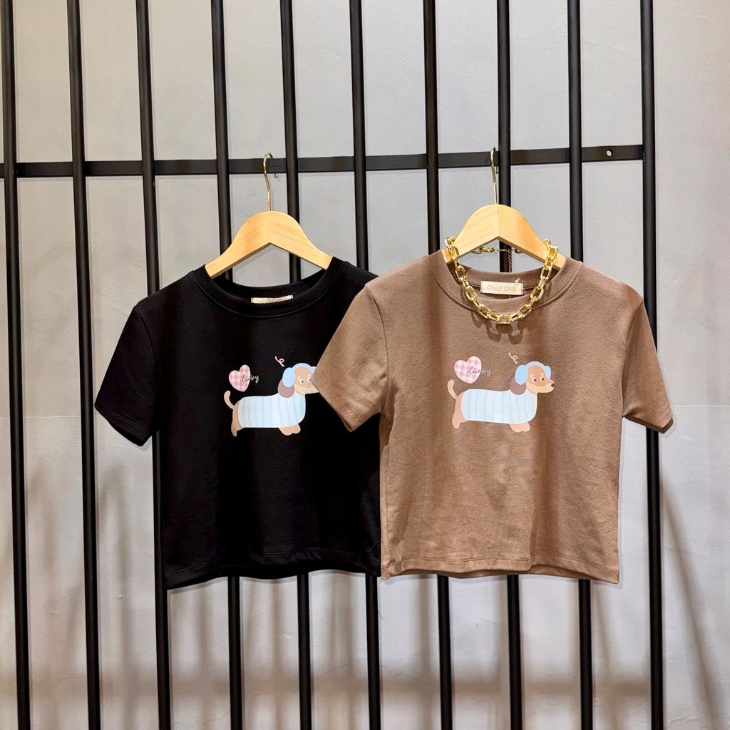 image_E9B7EAF9-27F8-409D-A549-D78F902662EB_1761321626