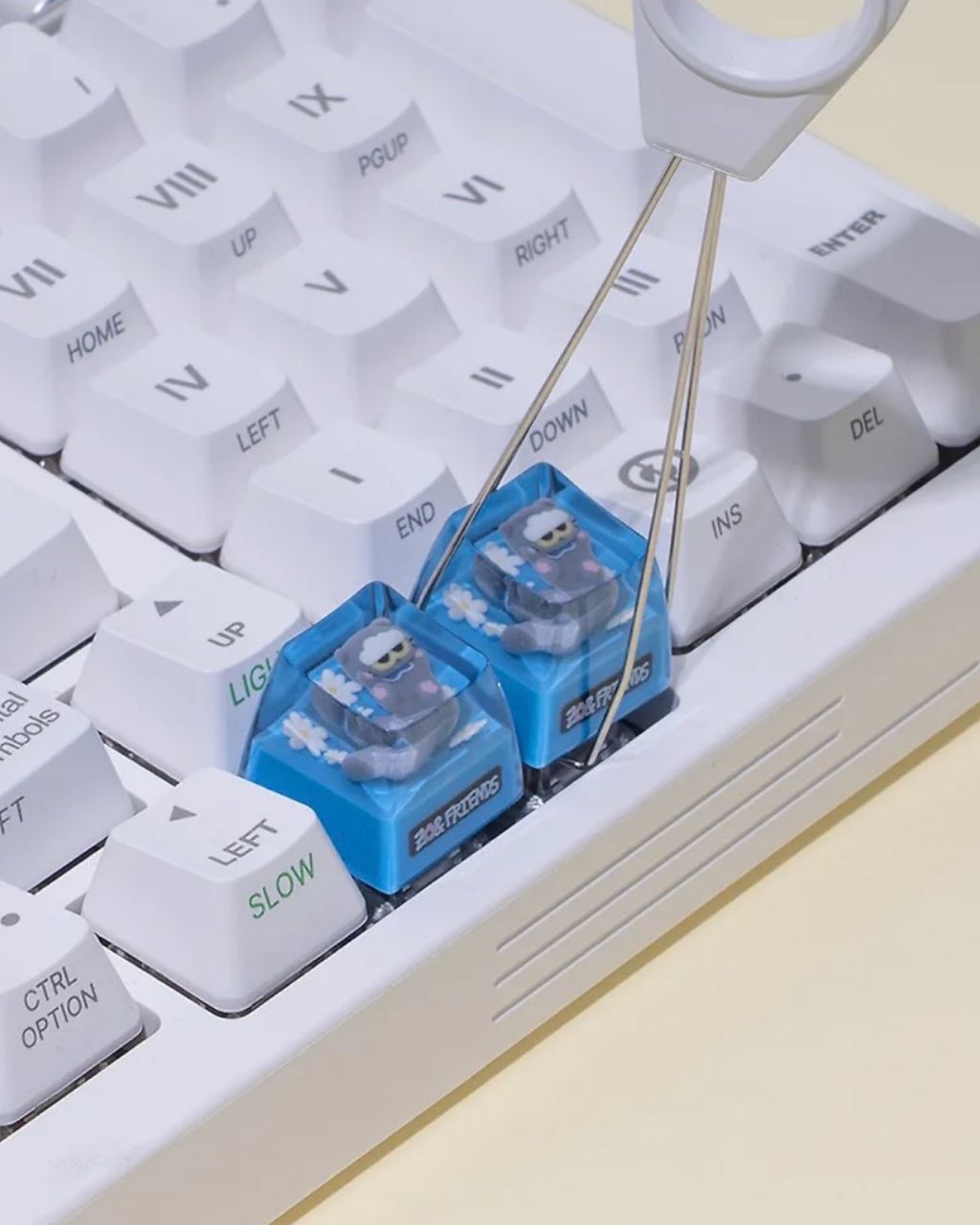 image_8535604E-7D42-443D-A933-4CCBC102D61D_1765870355