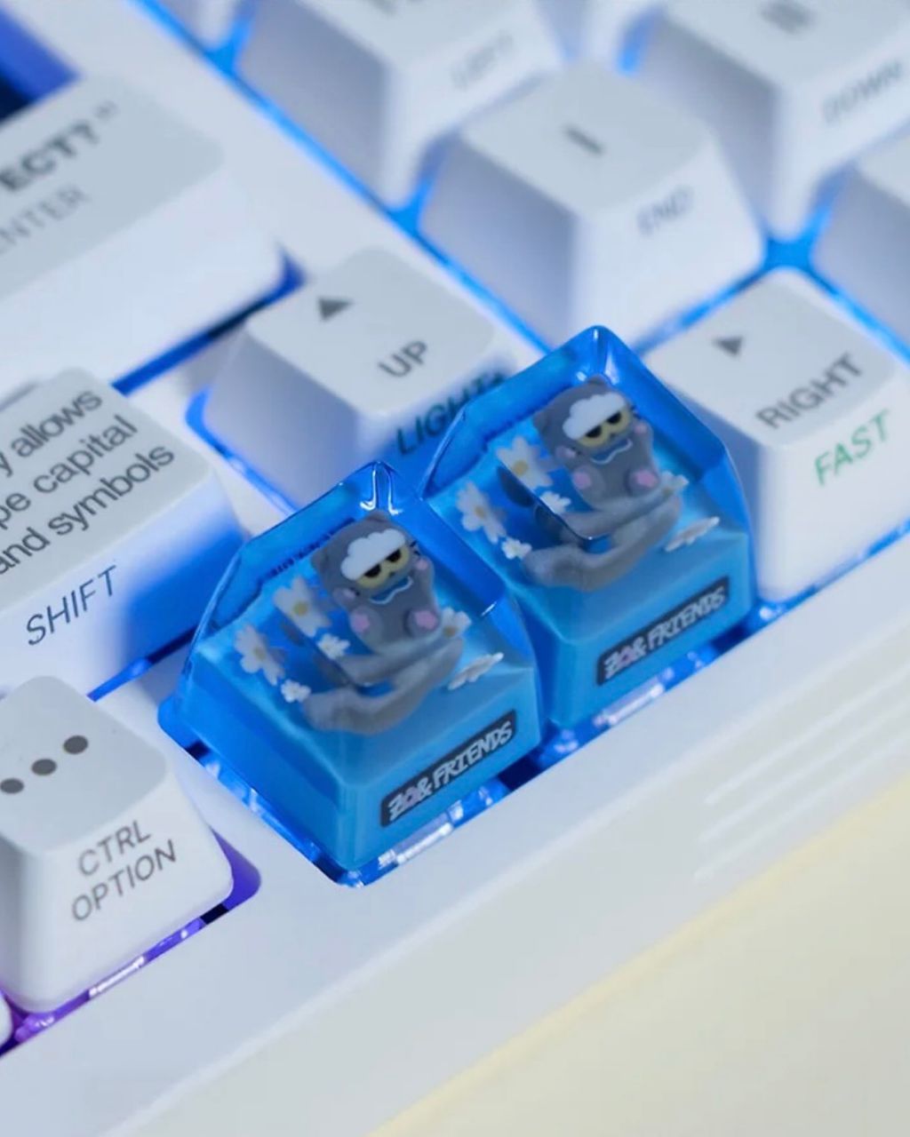 image_6ED46630-AA77-4FDB-9D1C-EEAAF39D212F_1765870355