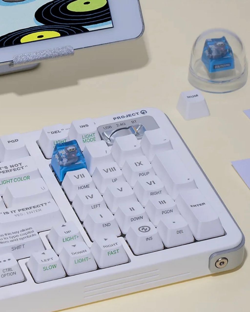 image_335066F1-E941-402C-87AD-8A3127816EAE_1765870355