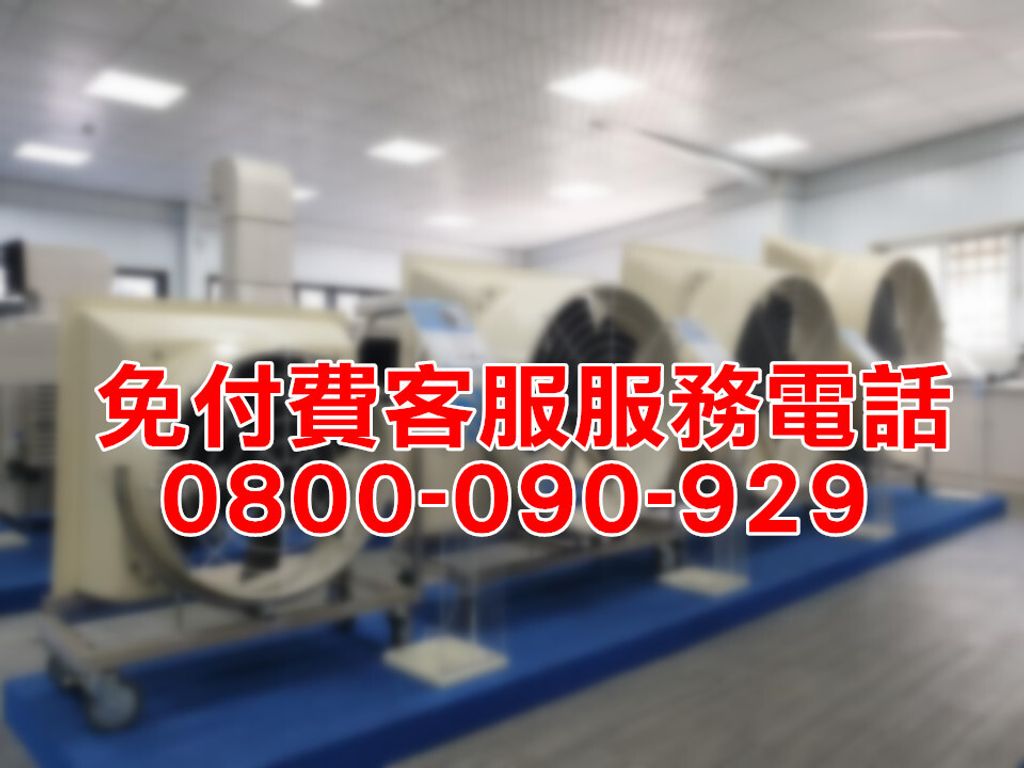 52446317_2424328374263666_2868772368266821632_n_副本