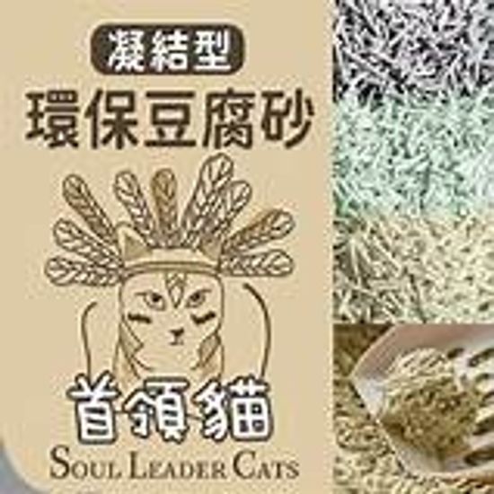 首領貓砂 | 愛豆旺