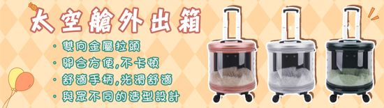 THE BEST PRODUCT | 愛豆旺