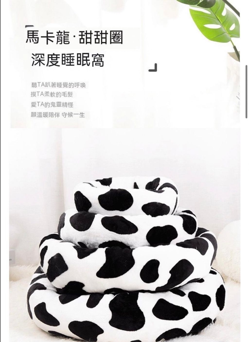 外出箱