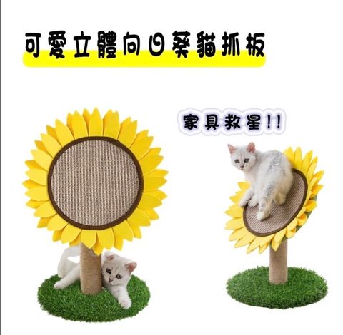 外出箱