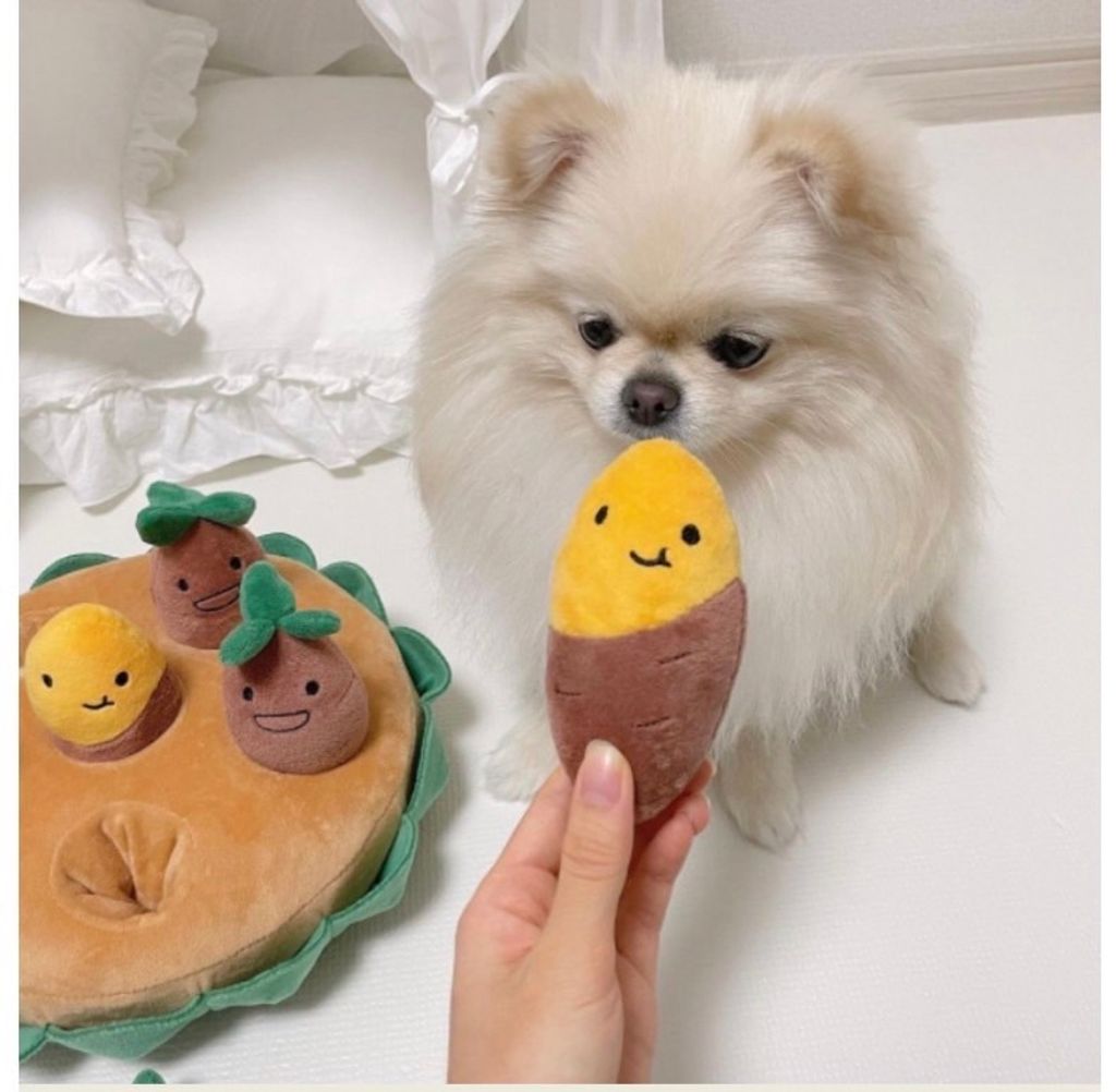 外出箱