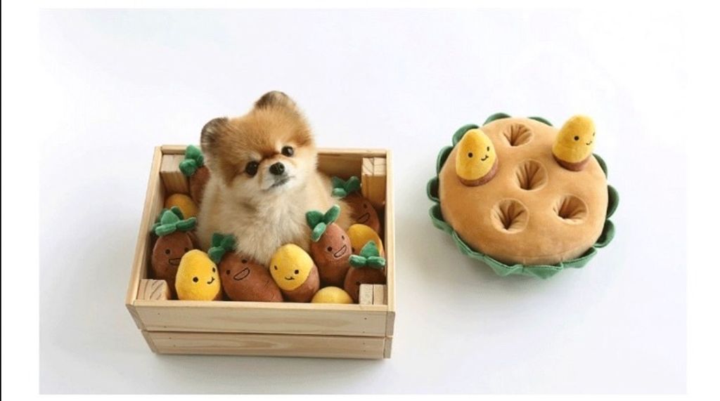 外出箱