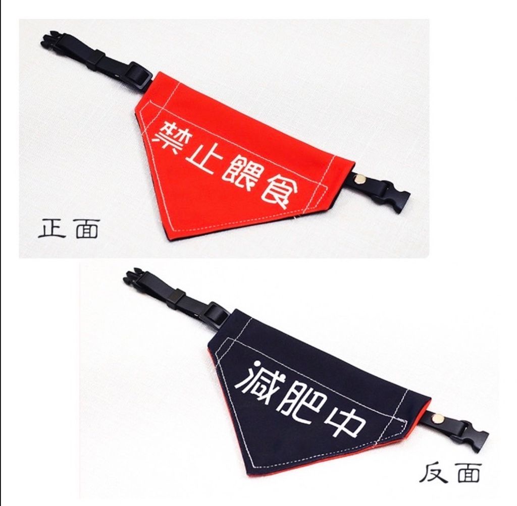 外出箱
