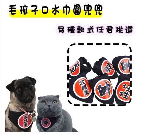 外出箱
