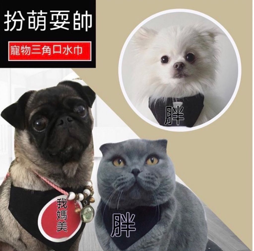 外出箱