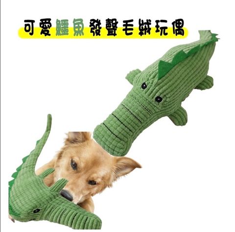外出箱