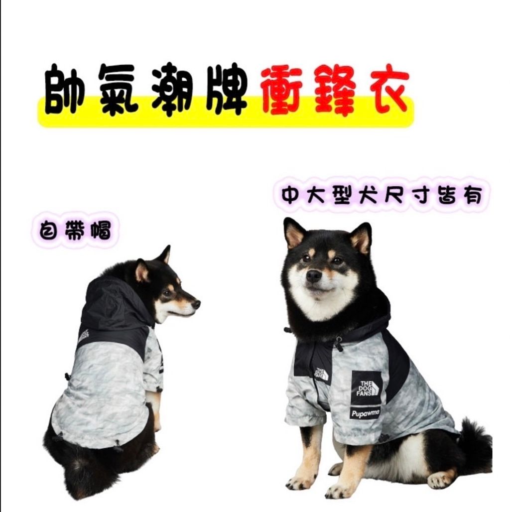 外出箱