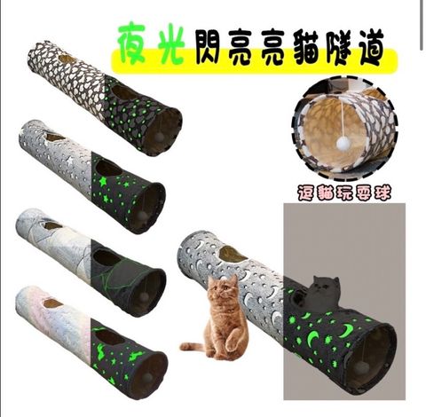 外出箱