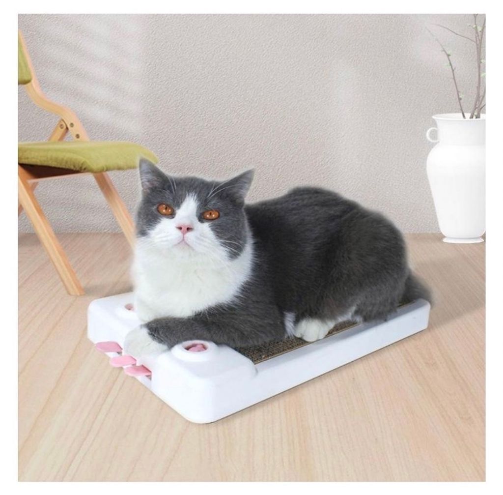 外出箱