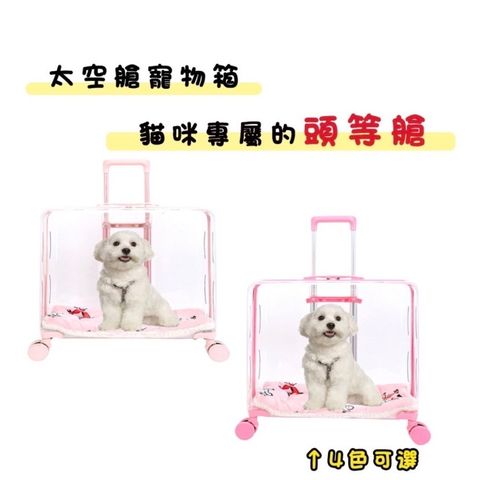 外出箱