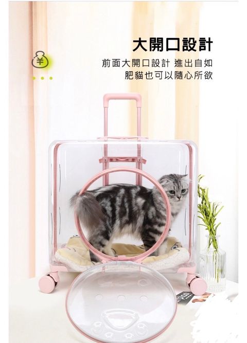 外出箱