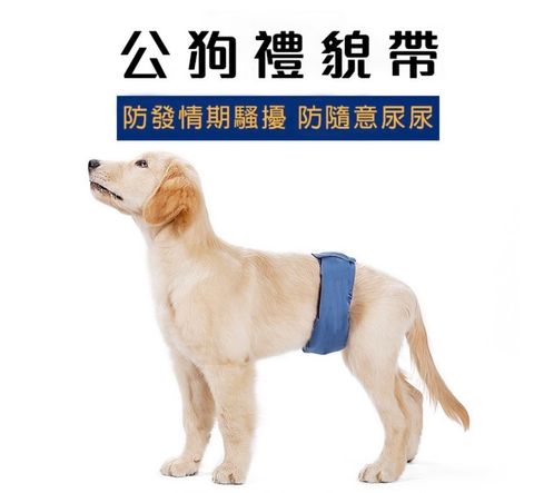 外出箱