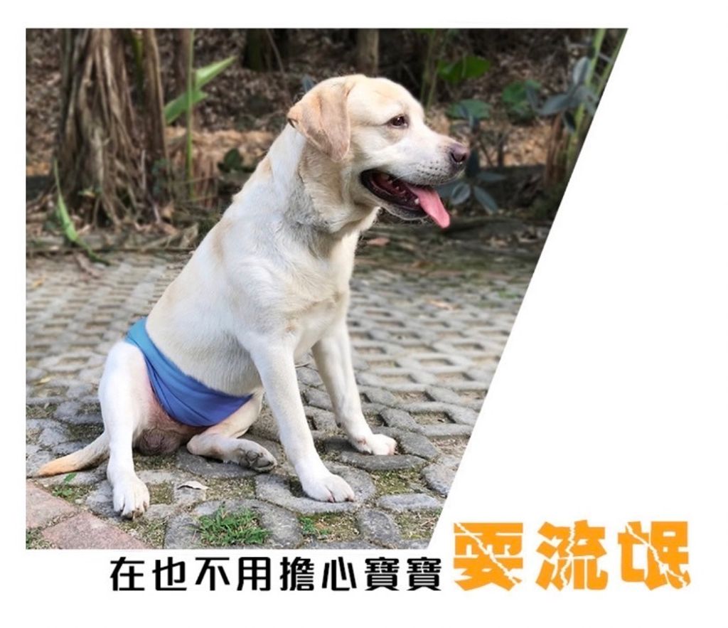 外出箱