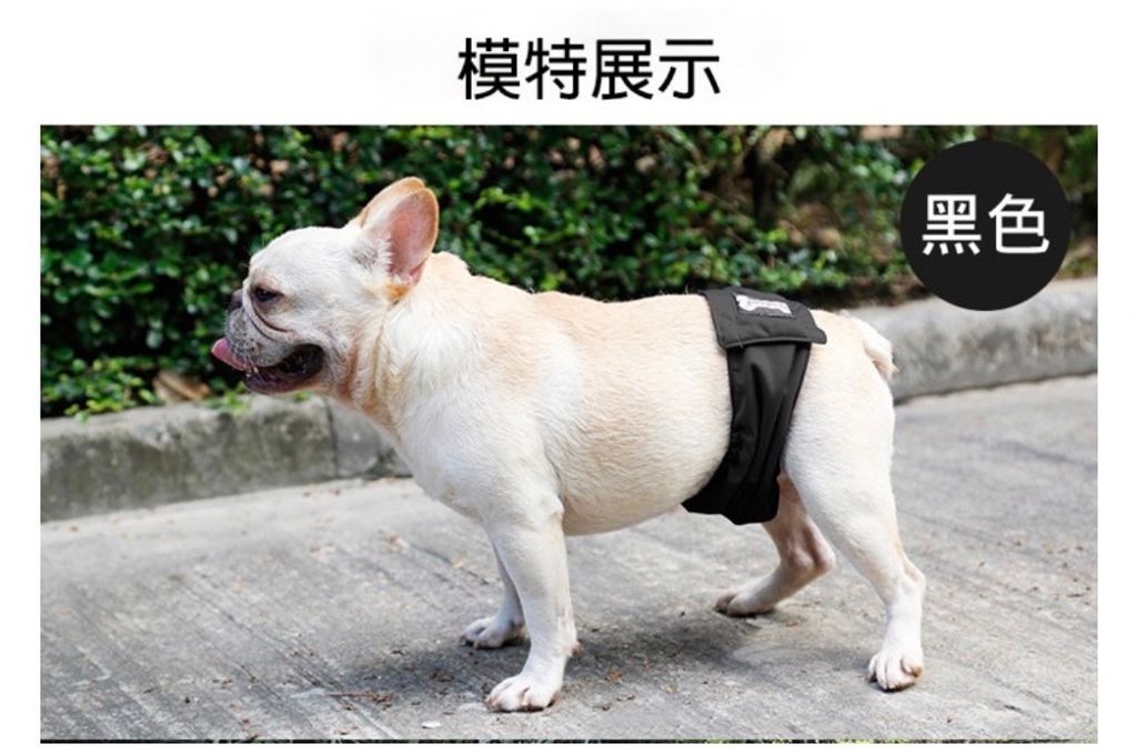外出箱