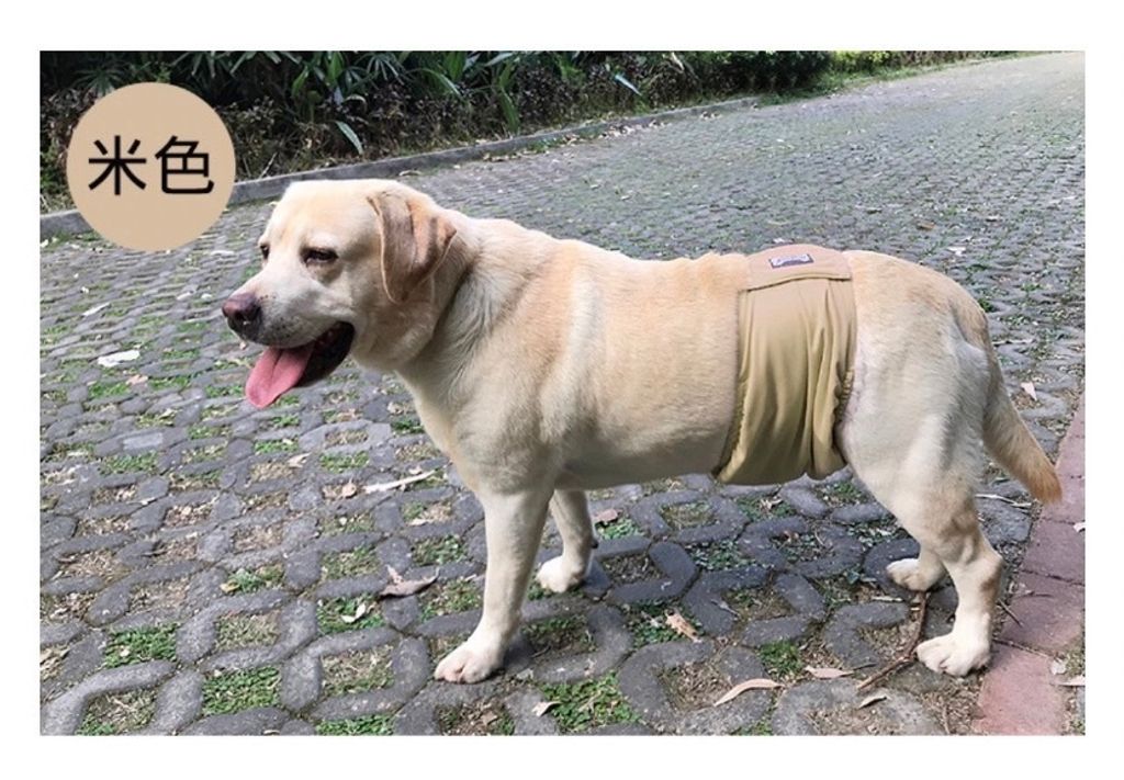 外出箱