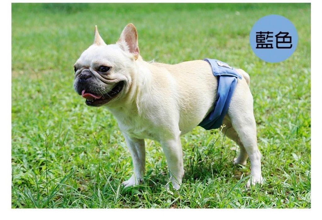 外出箱