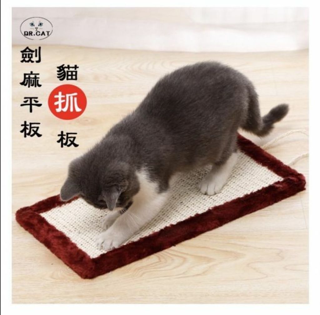 外出箱