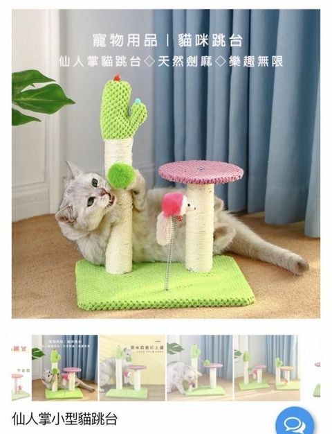 外出箱
