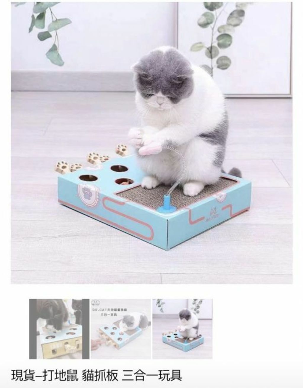 外出箱