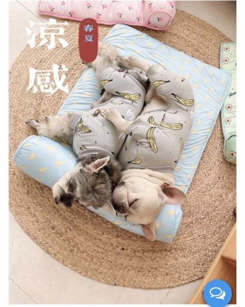 外出箱