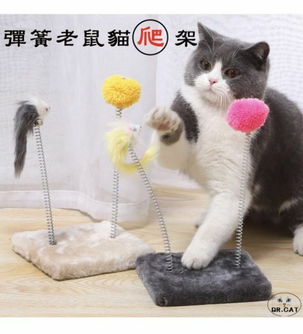 外出箱