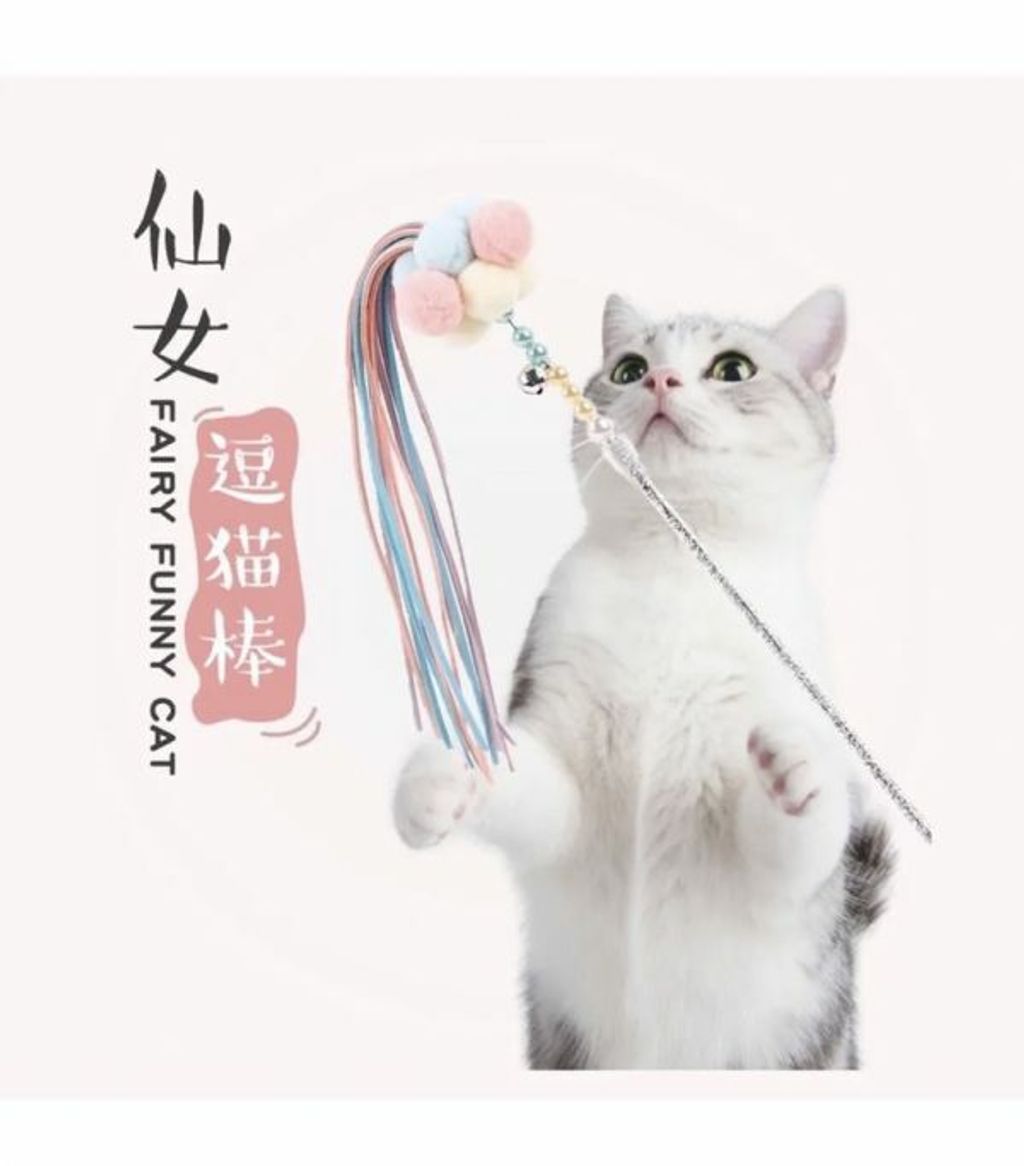 外出箱