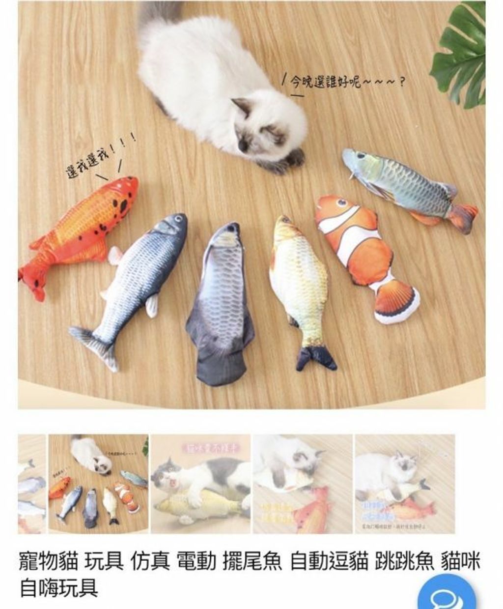 外出箱