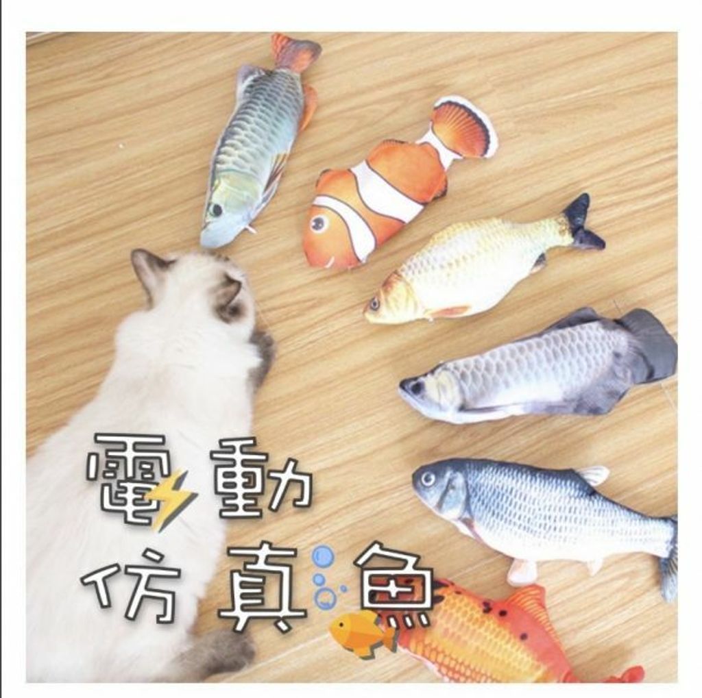 外出箱