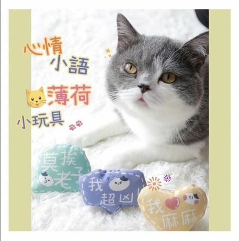 外出箱