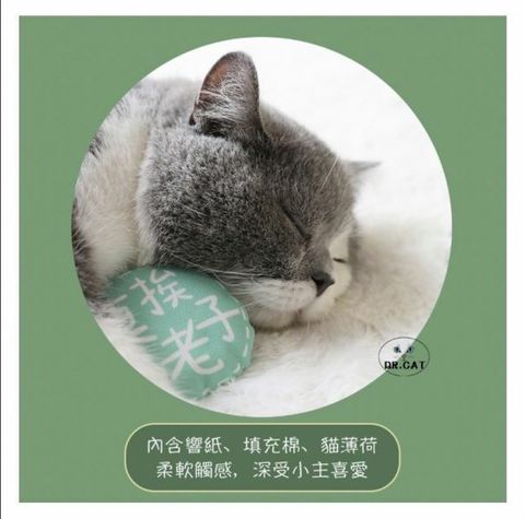 外出箱