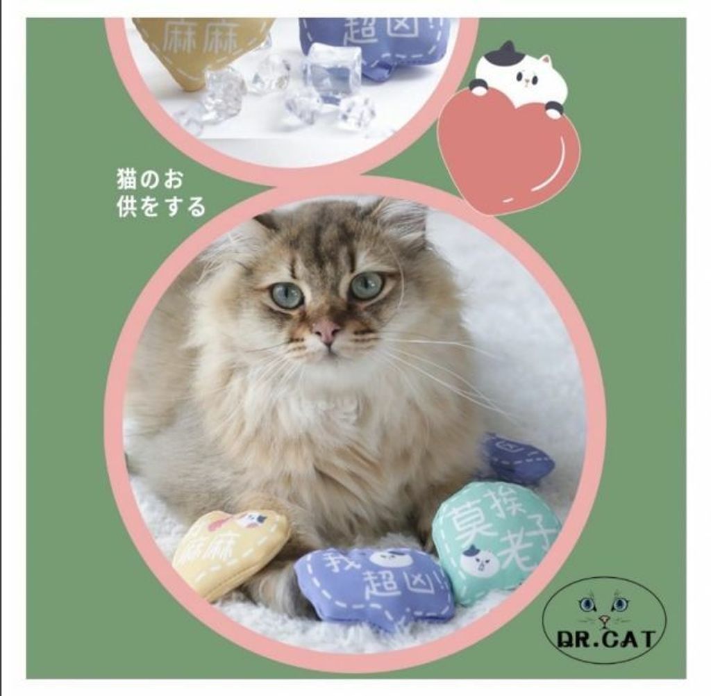 外出箱