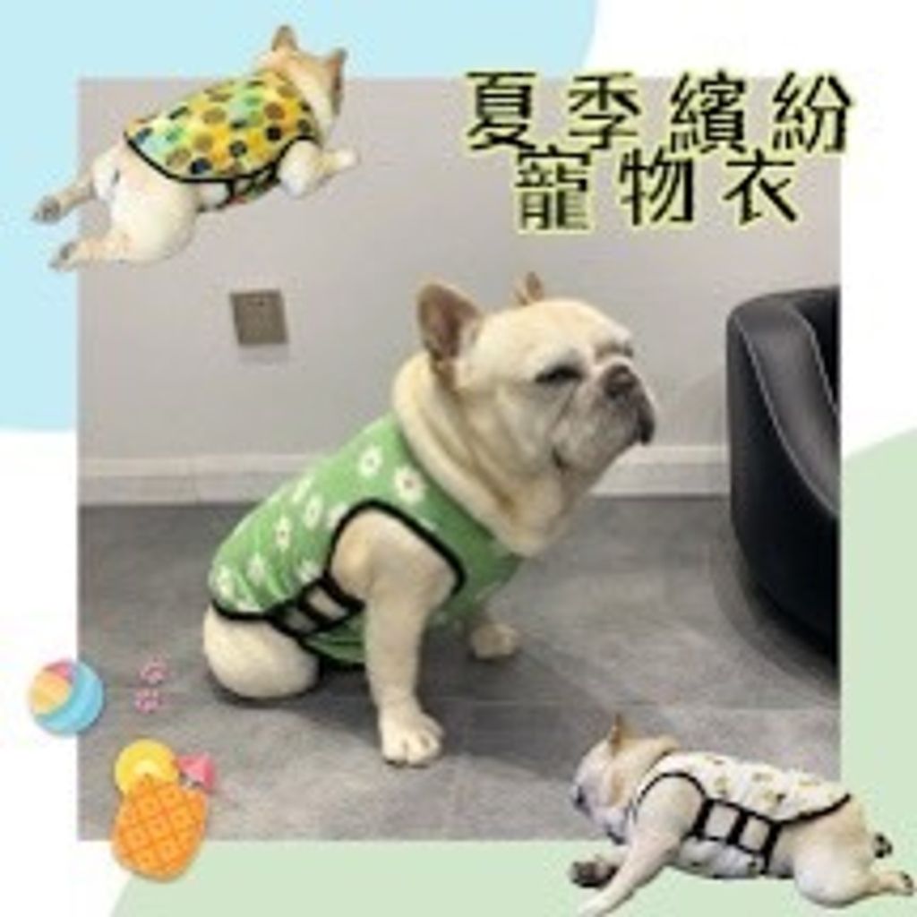 外出箱