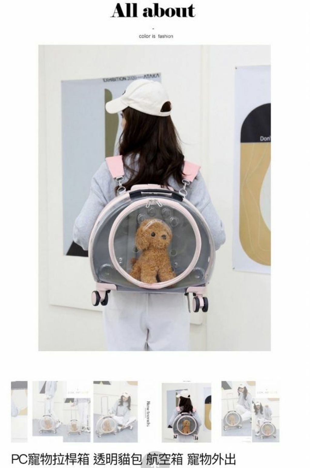 外出箱