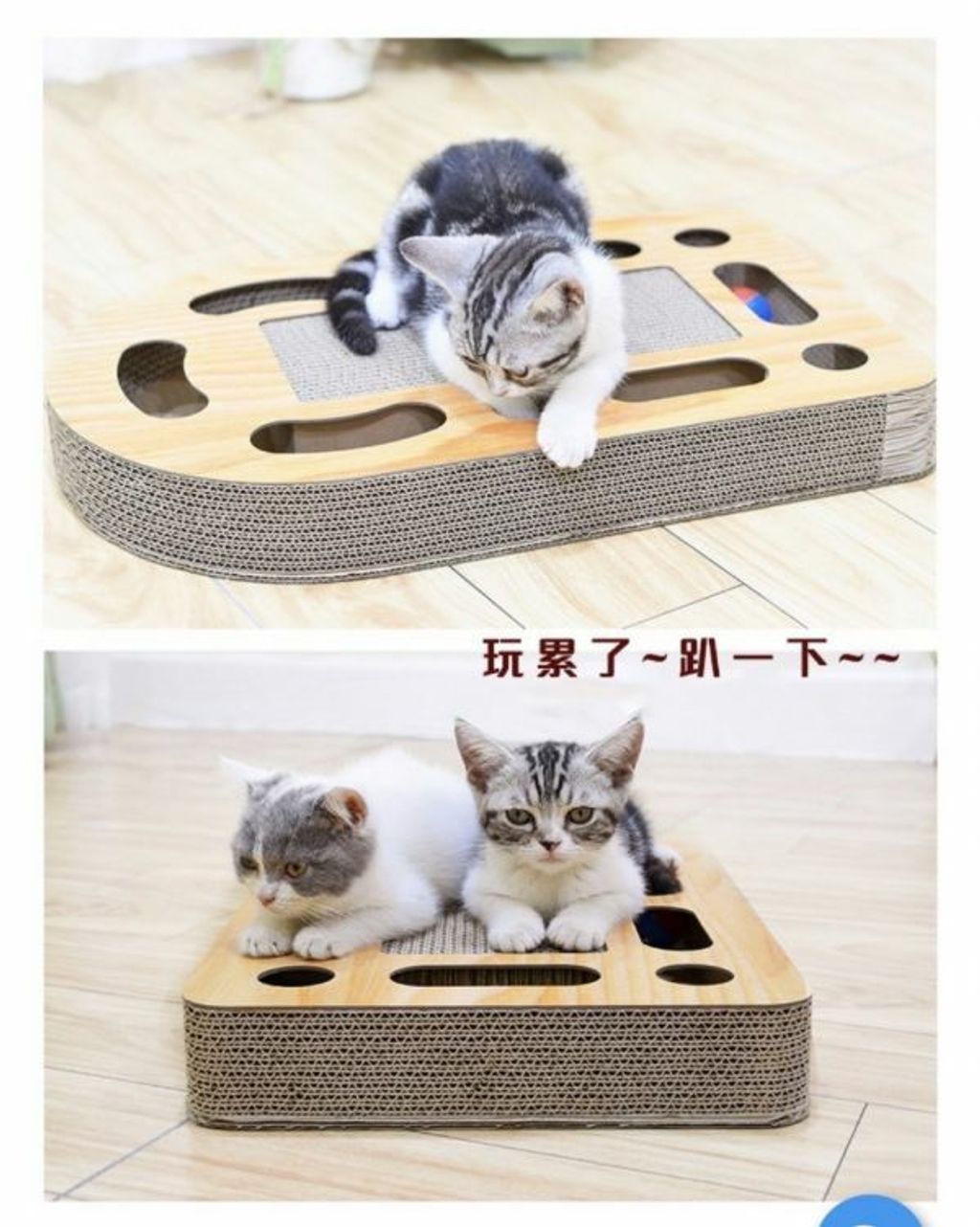 外出箱