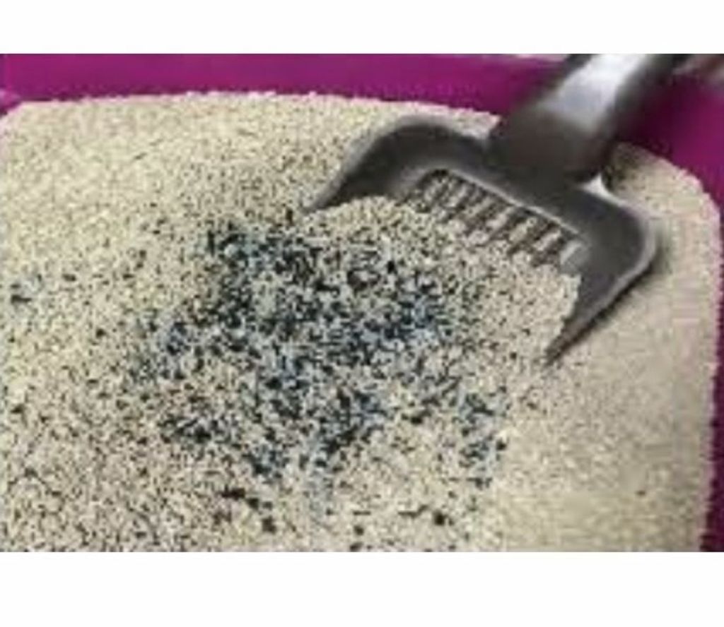外出箱