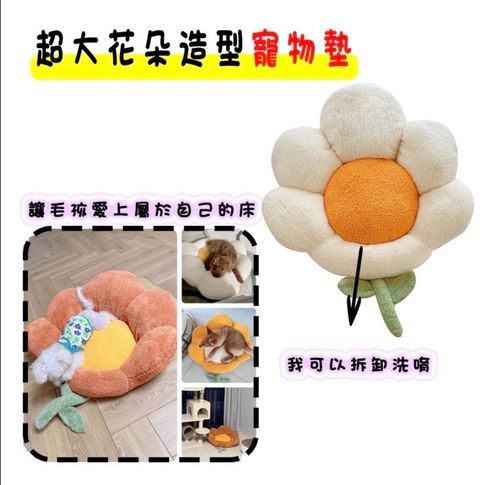 外出箱