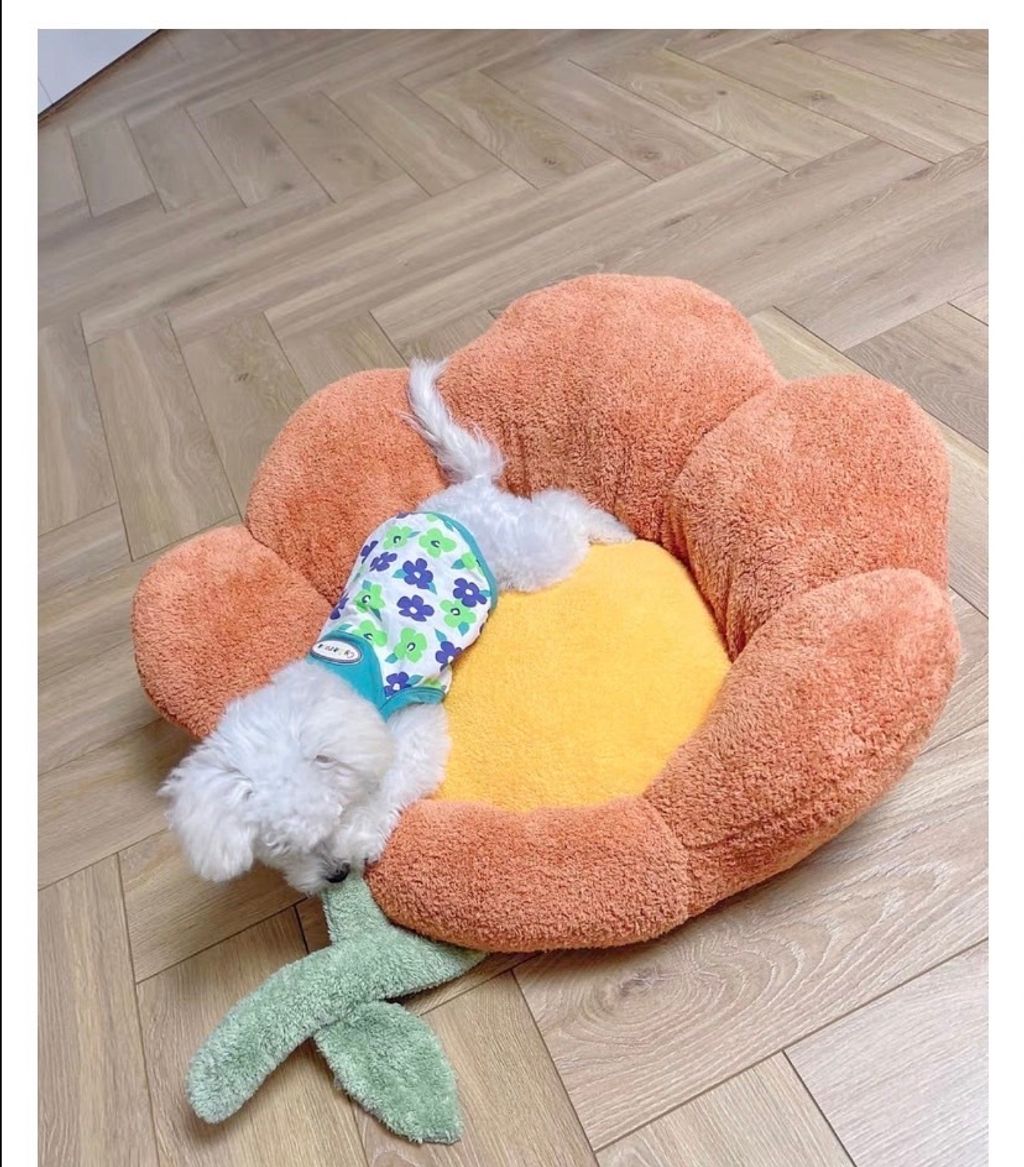 外出箱