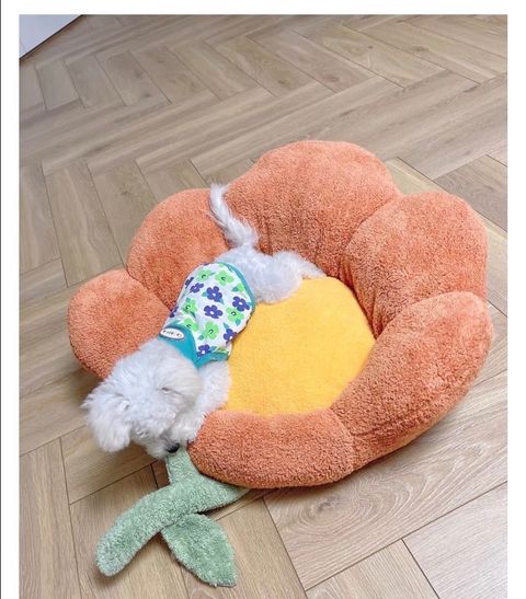 外出箱