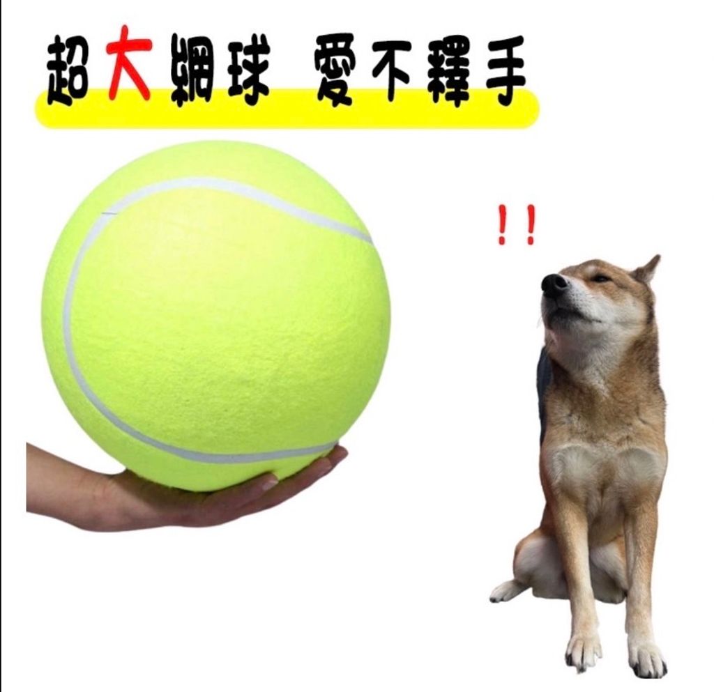 外出箱