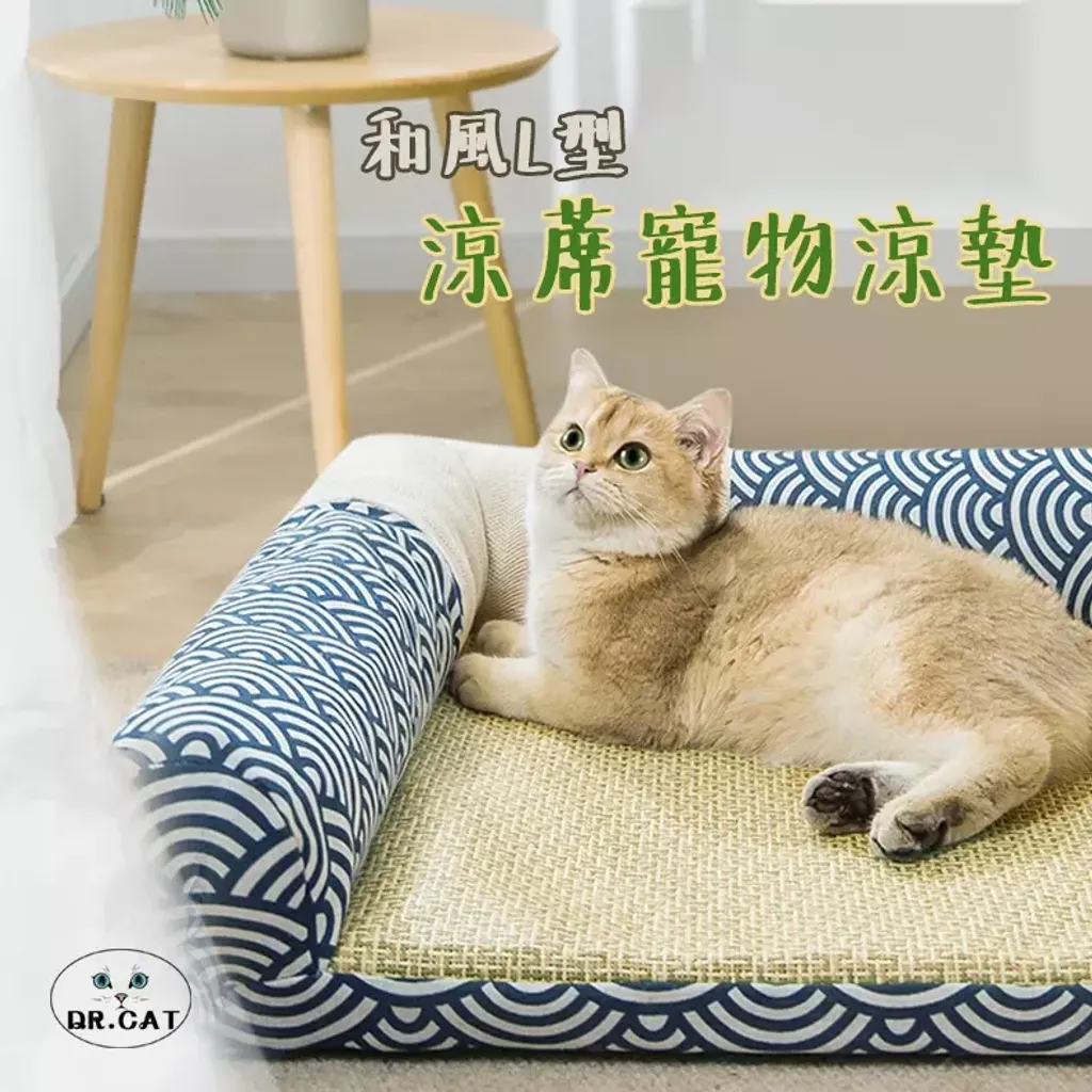 風琴