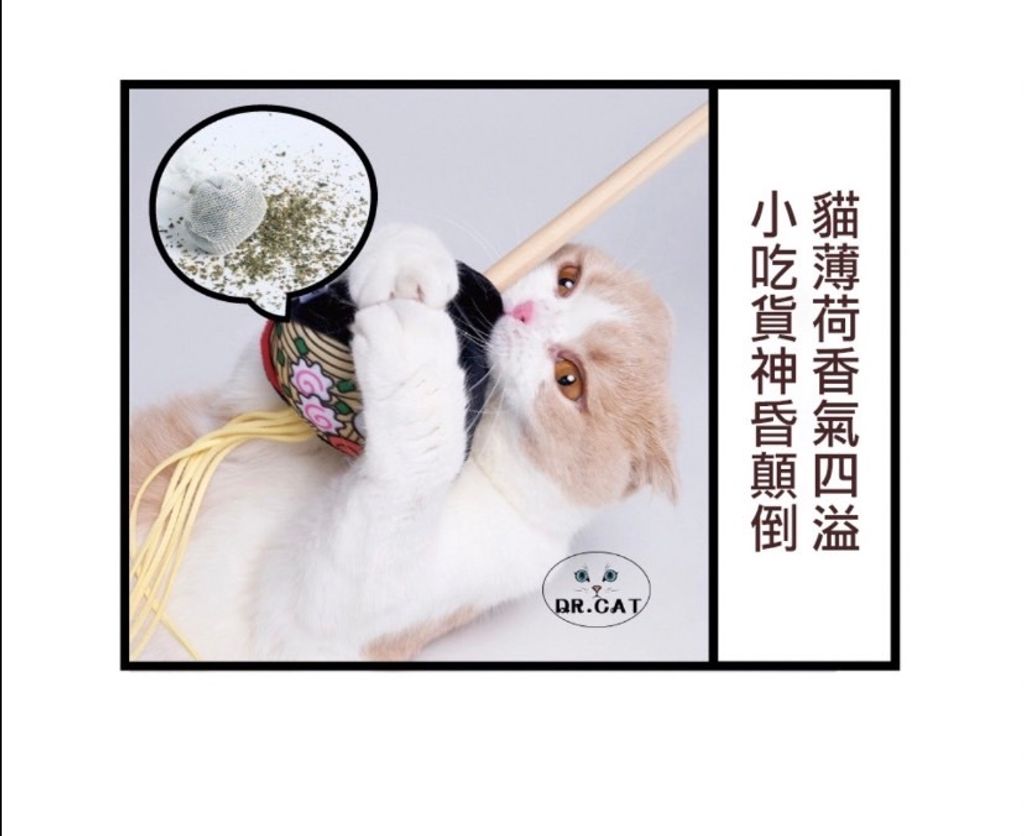 外出箱